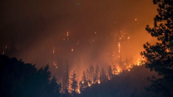 【投資家が知るべき、環境問題】山火事や森林火災